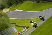 Middle 1 Group Yellow Bikes